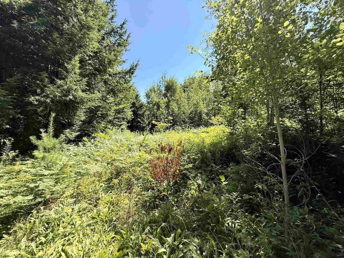 Photo of 3713 Trebo