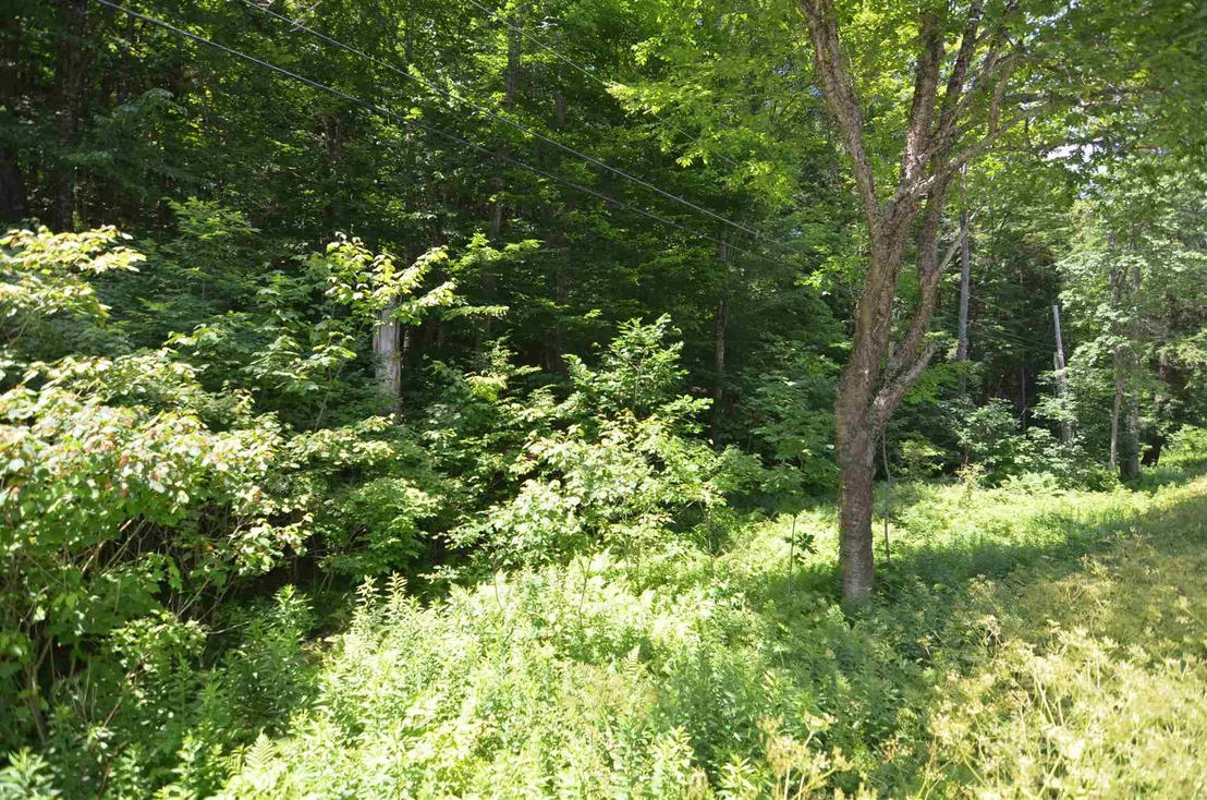 Photo of 1336 Route 100