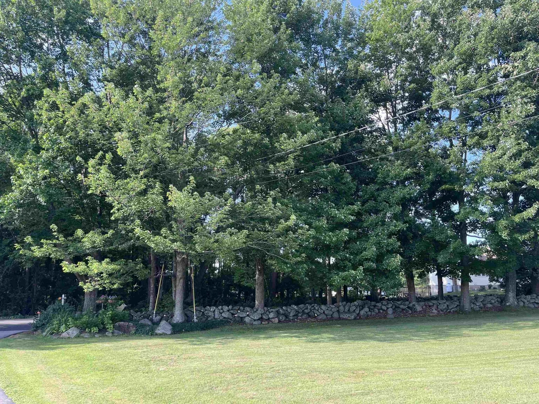 Photo of 72 Hidden