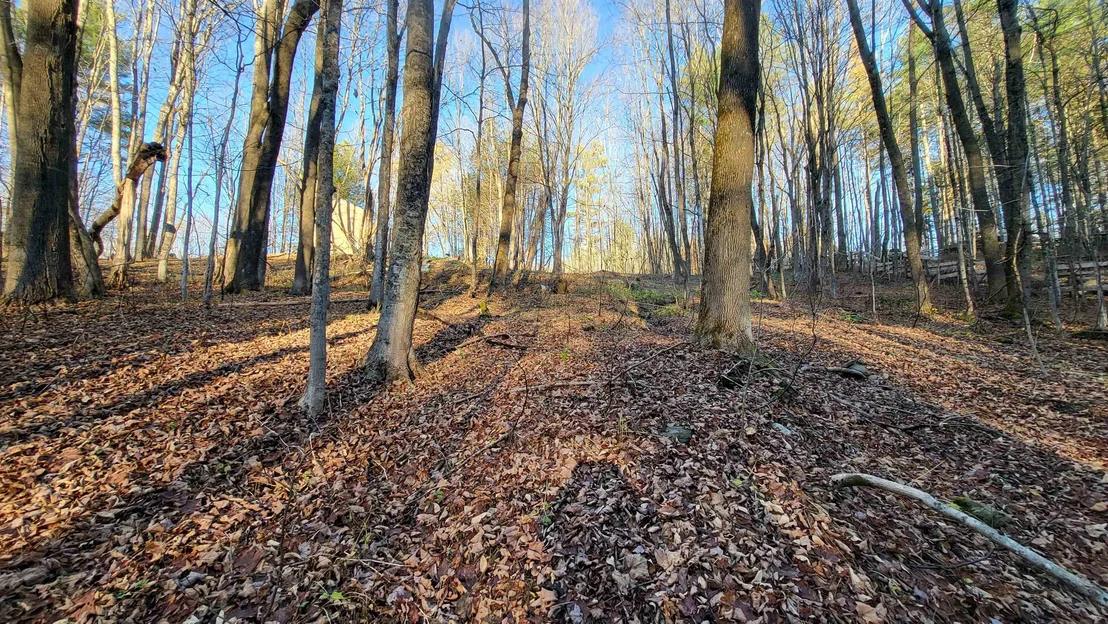 Photo of 535 Collar Hill