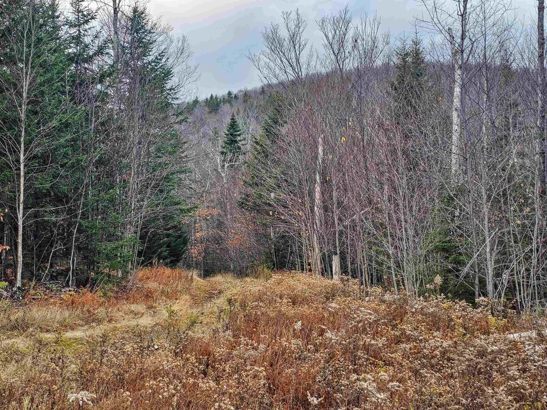 Photo of 706 VT Route 100