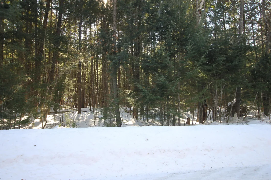 Photo of 00 Covered Bridge