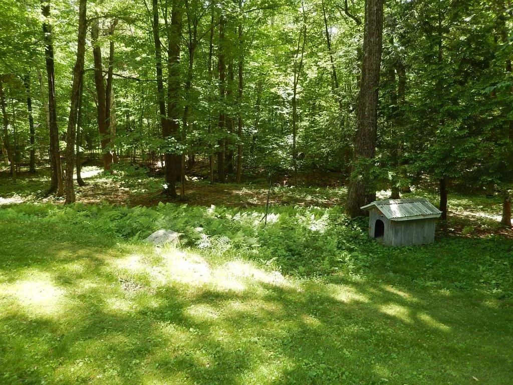 Photo of 6 Forest Ridge