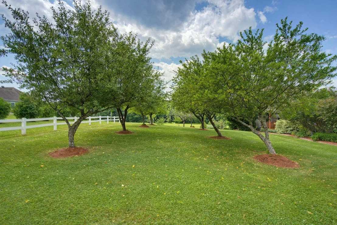 Photo of 50 Range