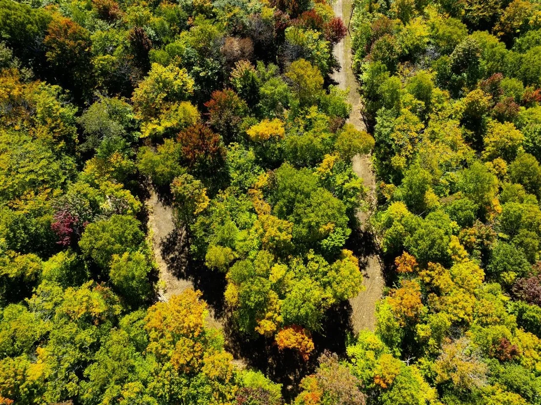 Photo of 0 Cider Mountain
