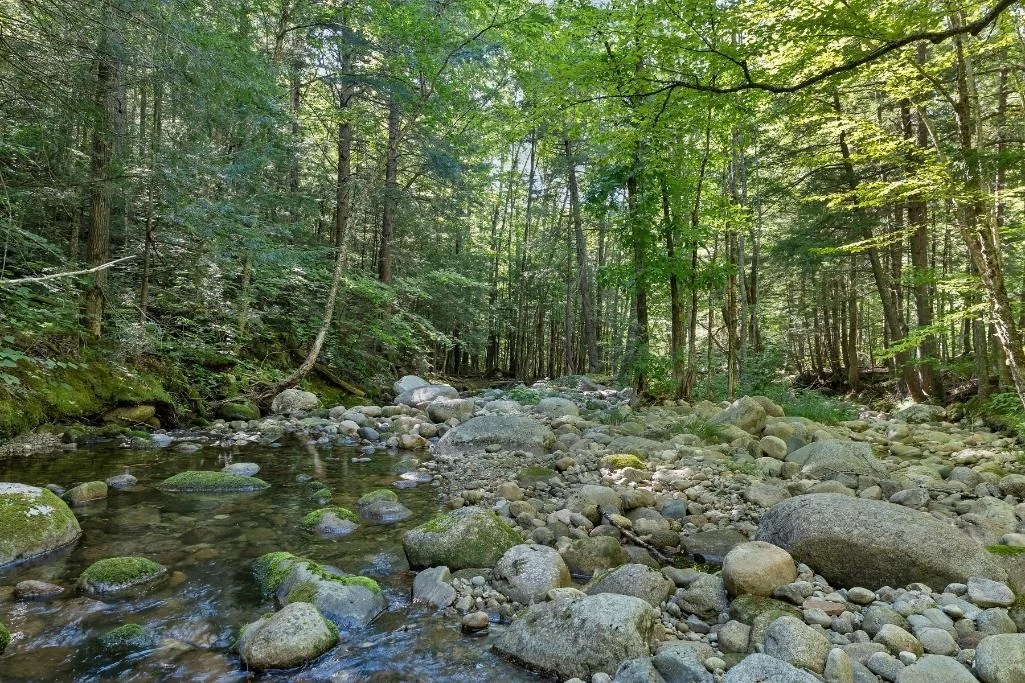 Photo of 32 Johnson Brook