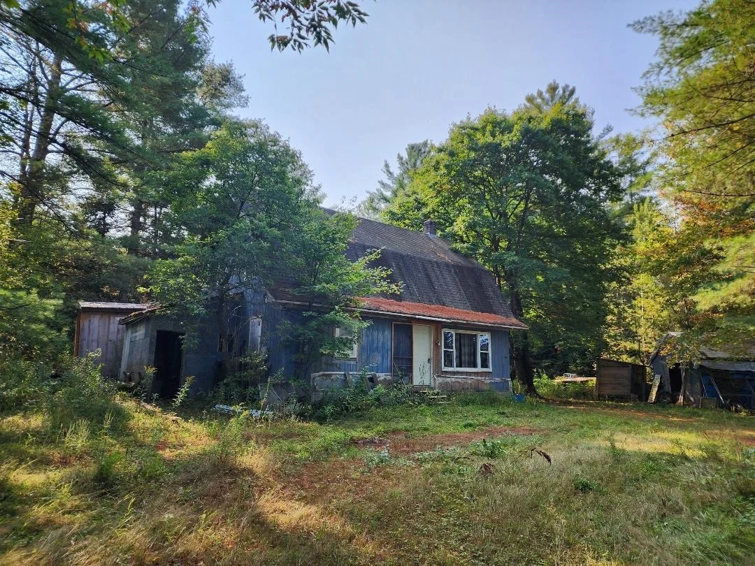 Photo of 24 Pine