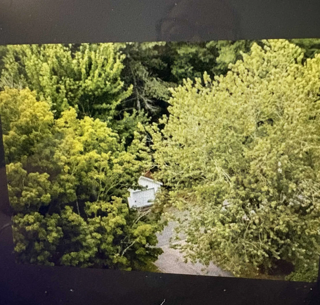 Photo of Unit LOT7MAP9 at 84 Clark