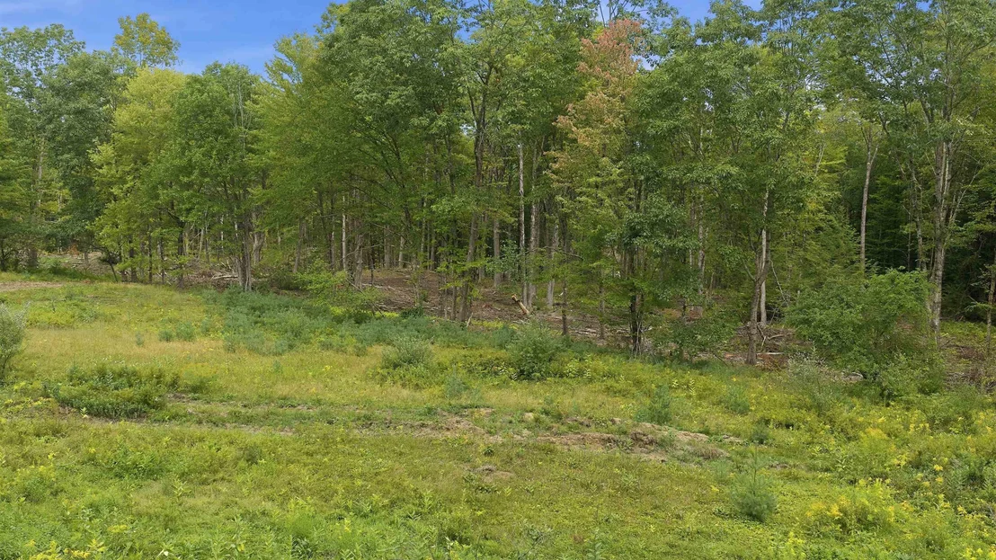 Photo of Lot 9-3 Roxbury