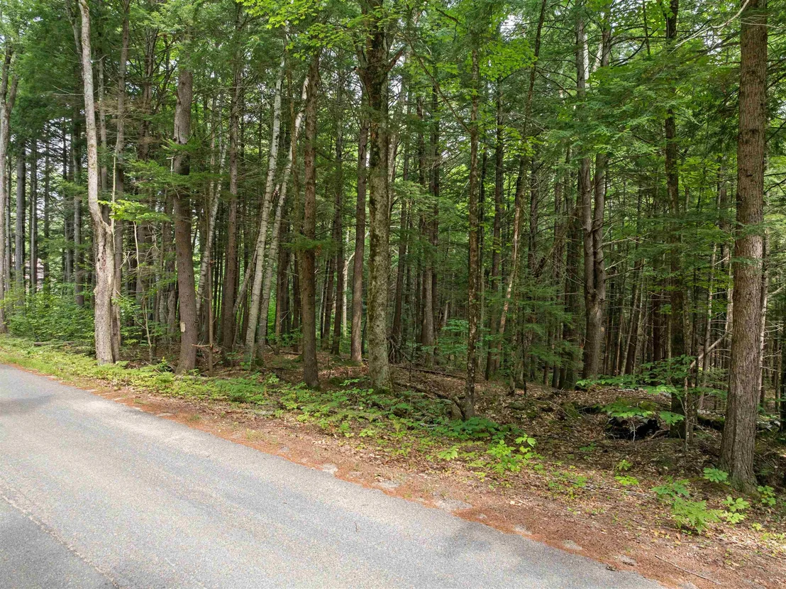 Photo of 30 D Forest Pond