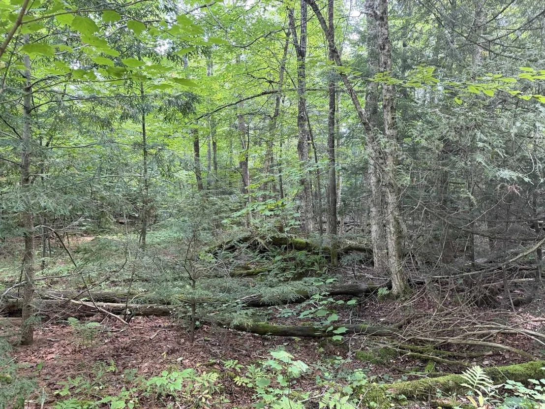 Photo of 0 Route 242