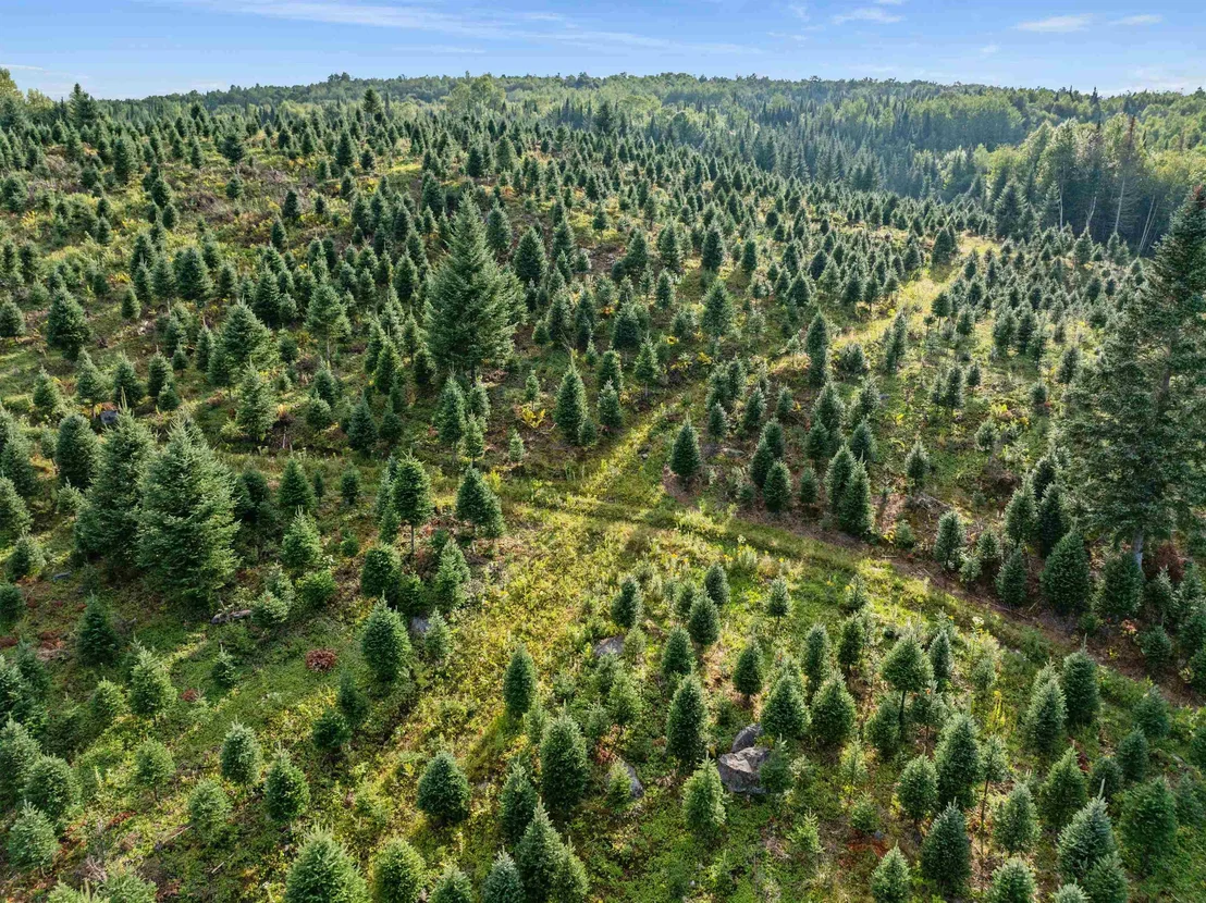 Photo of - Capon Brook