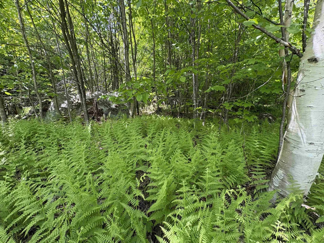 Photo of 0 Old Pond Hill