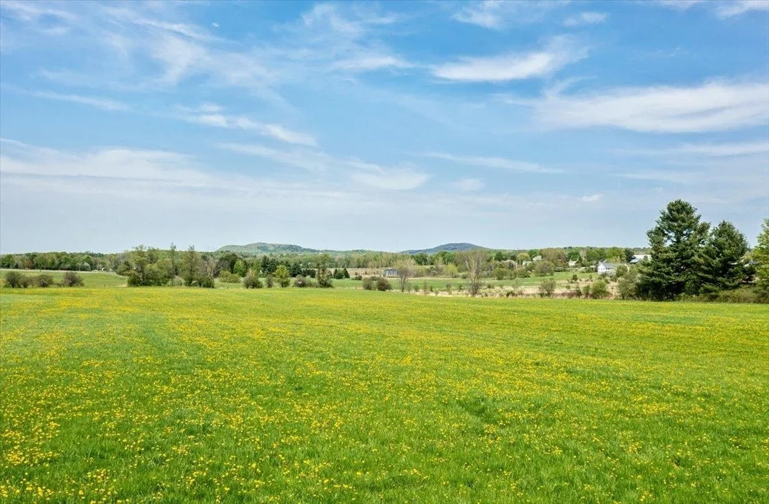 Photo of Lot 2 Plains