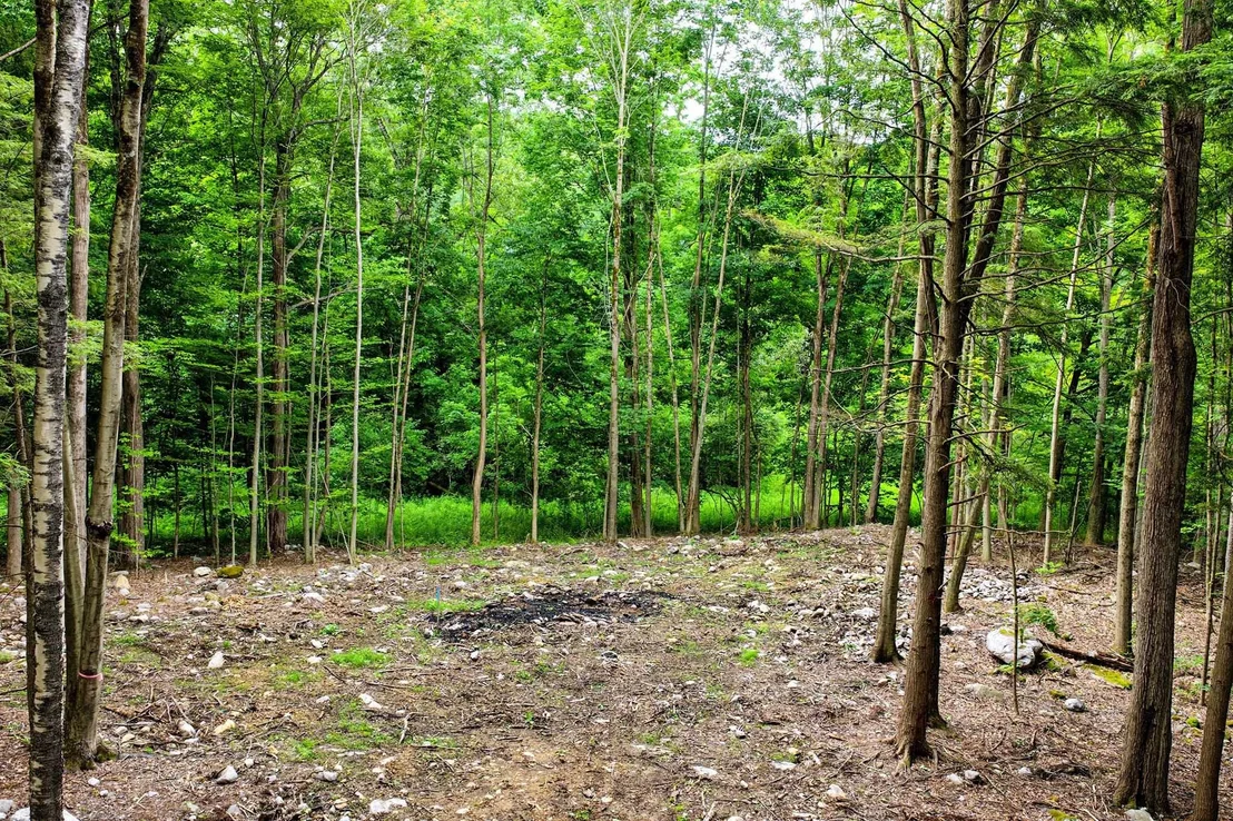 Photo of Unit LOT4 at 0 Cedar