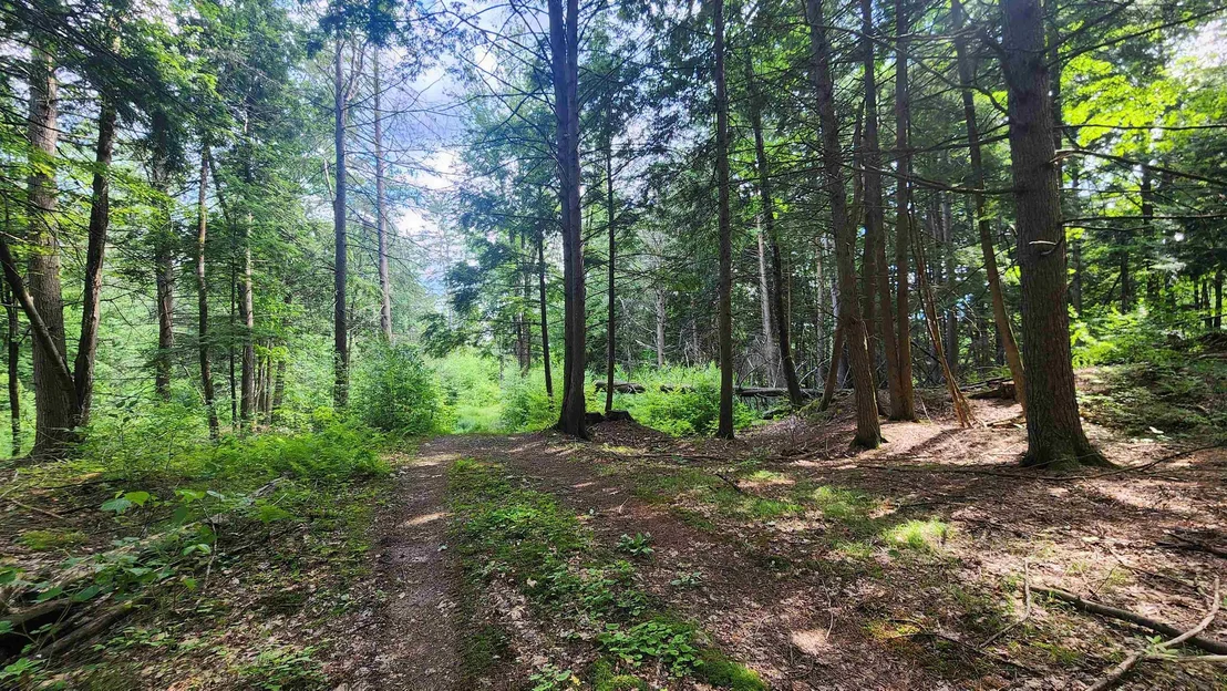 Photo of 0 Spencer Hollow