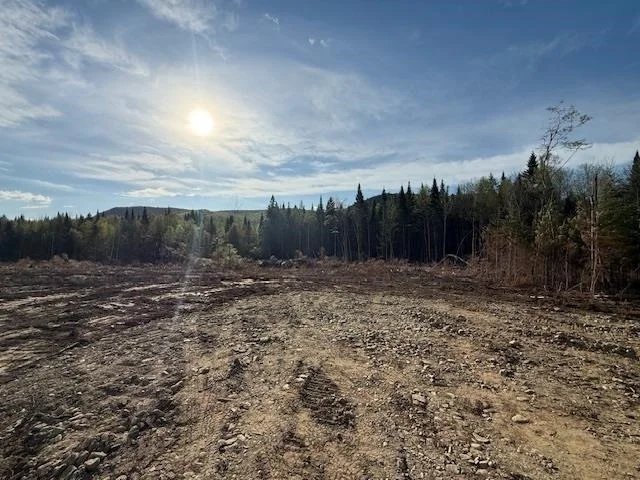 Photo of Lot 56.1 Faraway