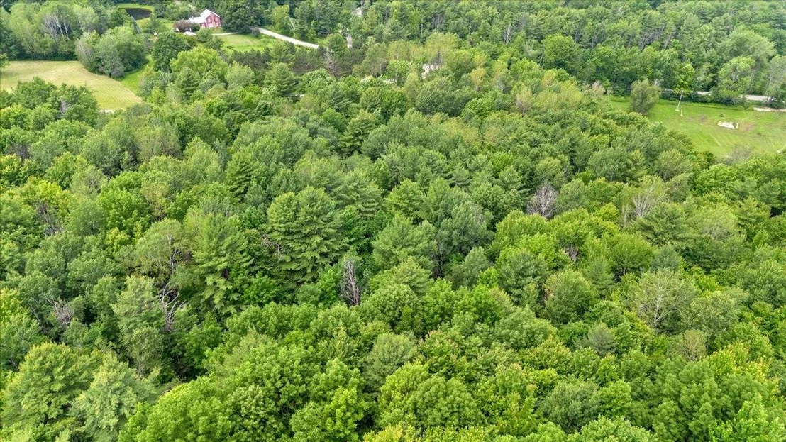 Photo of 45 Old County