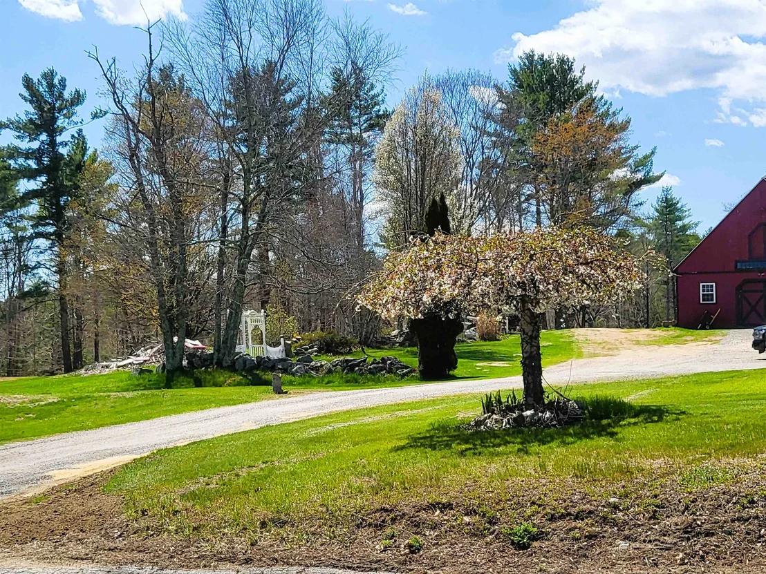 Photo of 19 Raymond