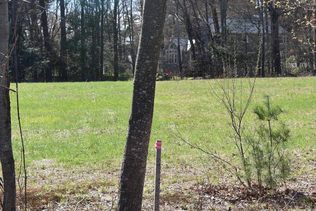Photo of 100 Mack Hill