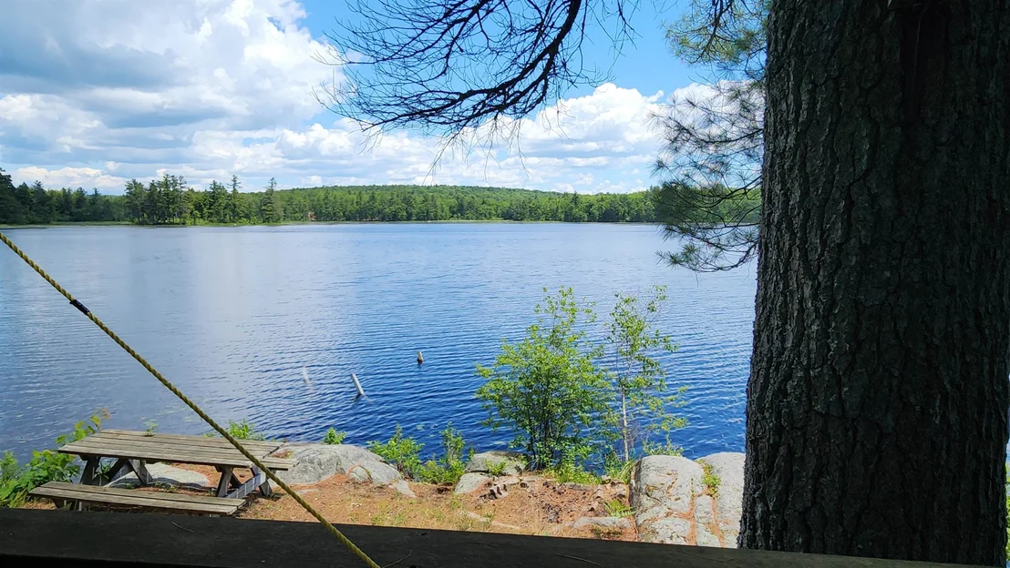 Photo of 36 Johnson