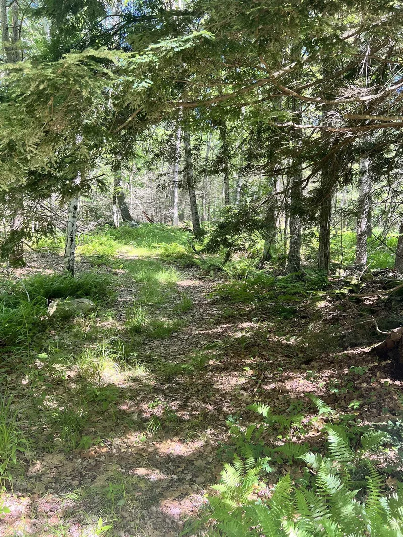 Photo of Map 2 Lot 94 School