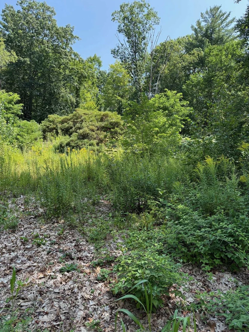 Photo of 2 Shore