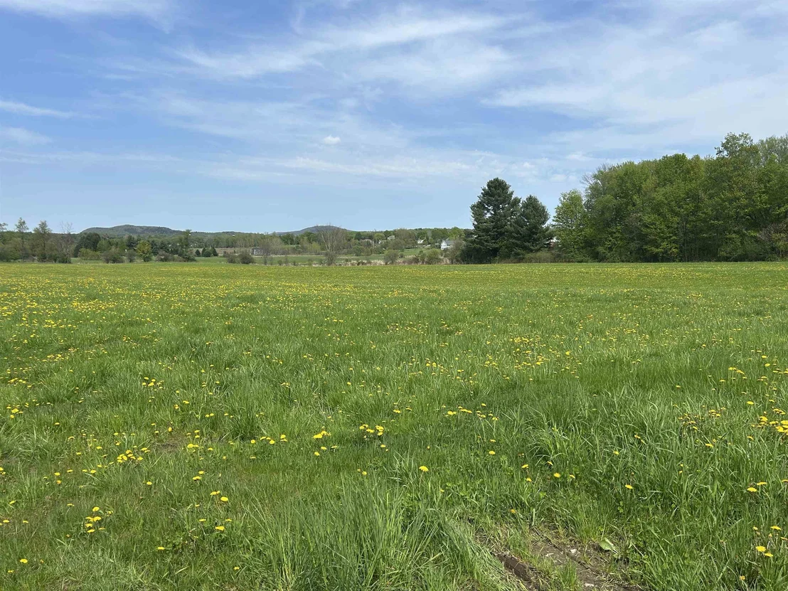 Photo of Lot 2 Plains