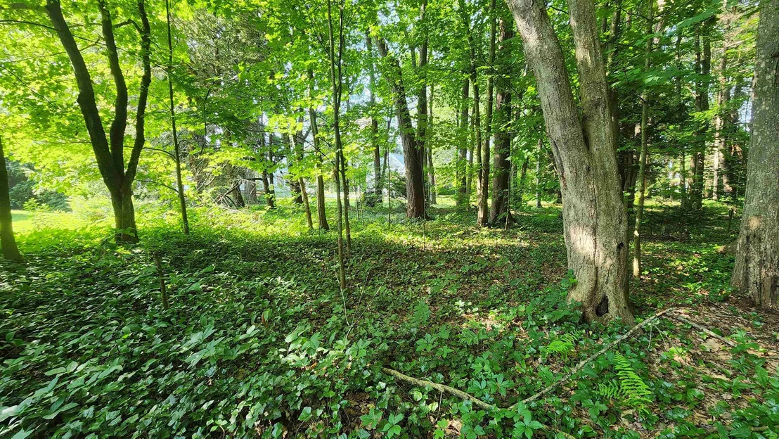 Photo of Unit MAP161LOT44 at Towle