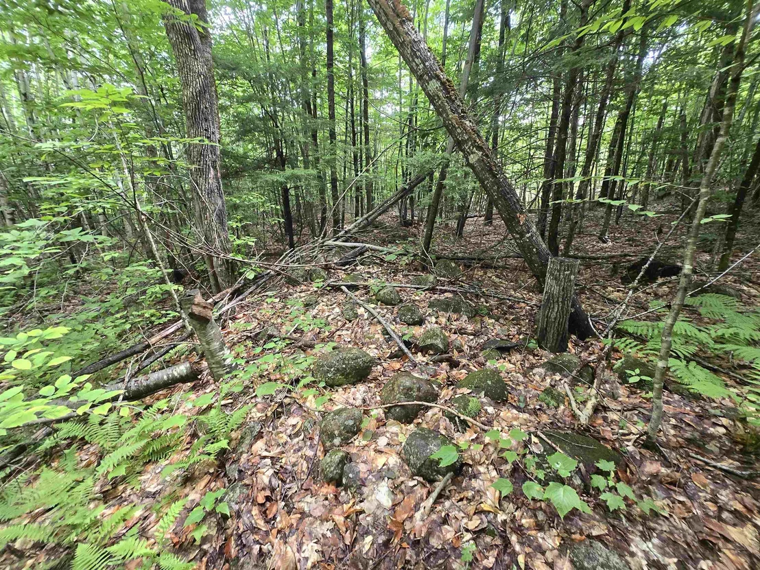 Photo of Lot 11 Brownfield