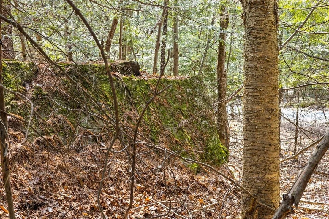 Photo of Lot 3 Hemlock