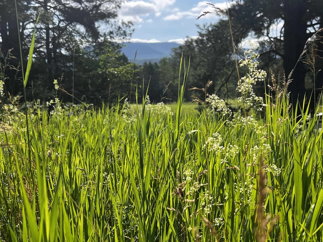 Photo of 0000 Darling Hill