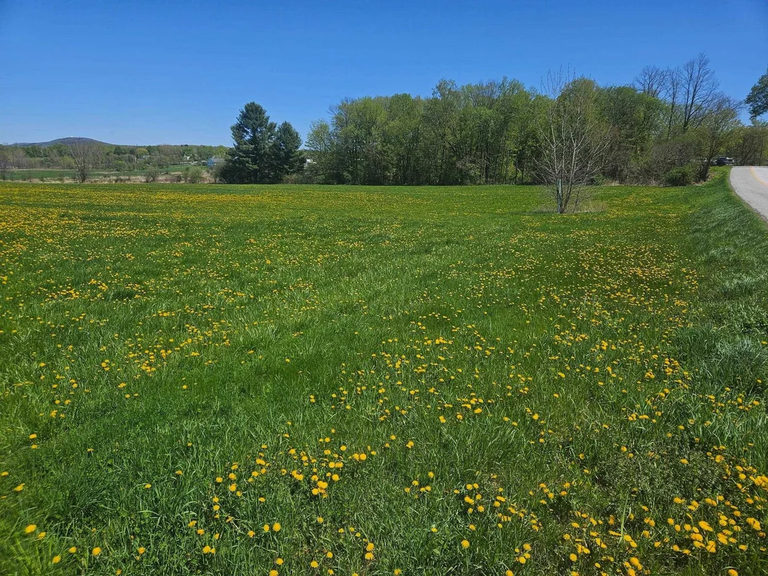 Photo of Lot 2 Plains