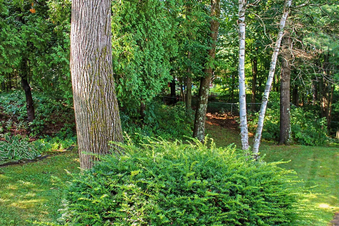 Photo of 141 Rivermount