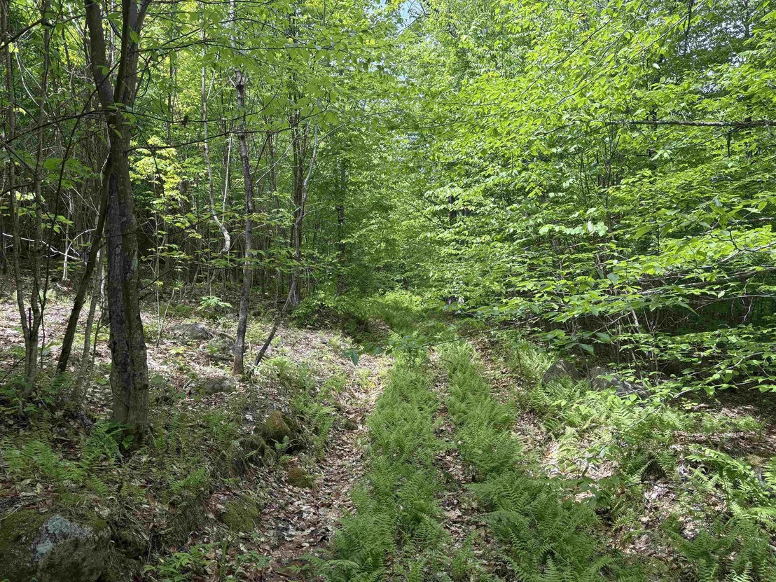 Photo of 0 Old Pond Hill