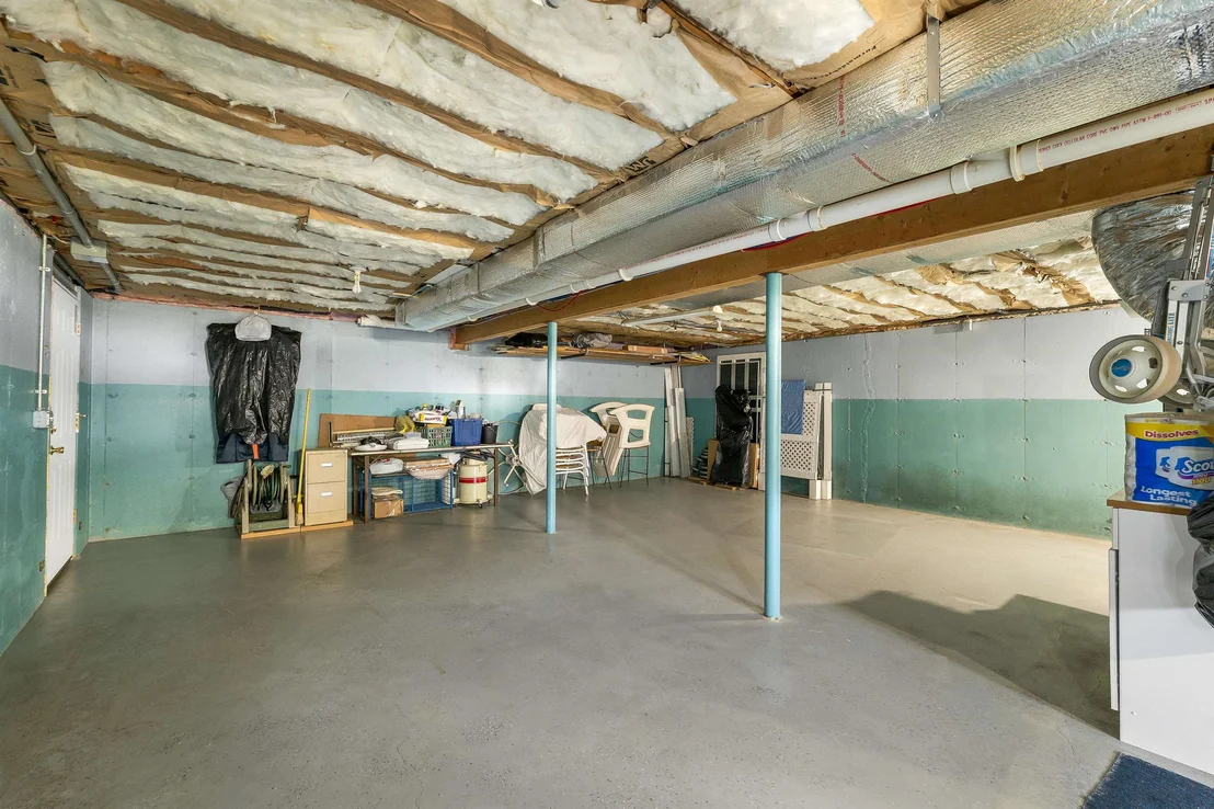 Photo of 41 Viola