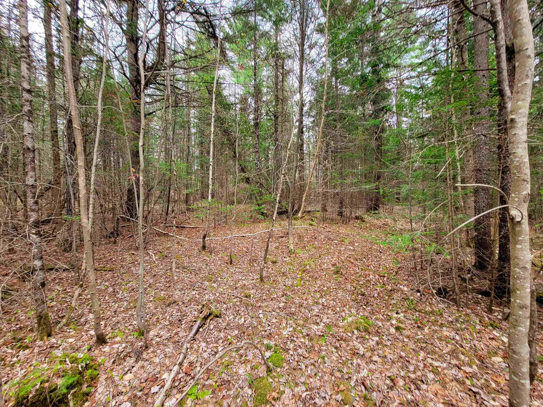 Photo of 280 Guyette