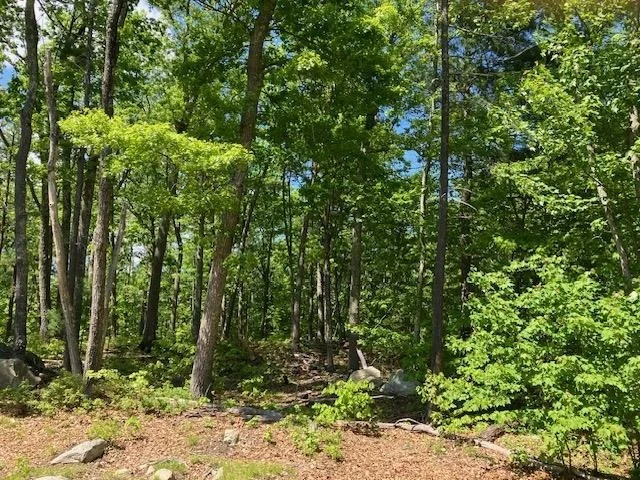 Photo of 11 Lantern