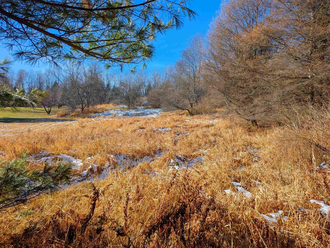Photo of 00 Pudding Hill