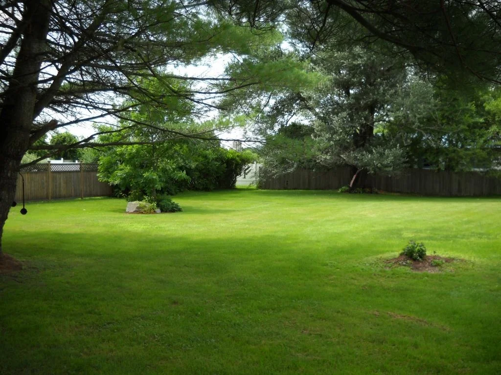 Photo of 6 Pierson