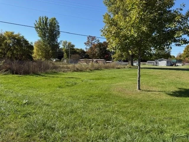 Photo of 19 Elm
