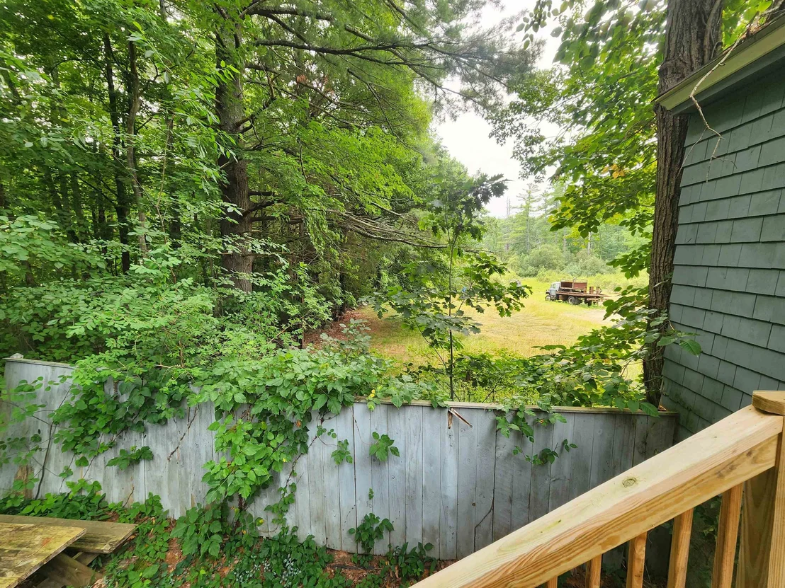 Photo of 44 Kingston