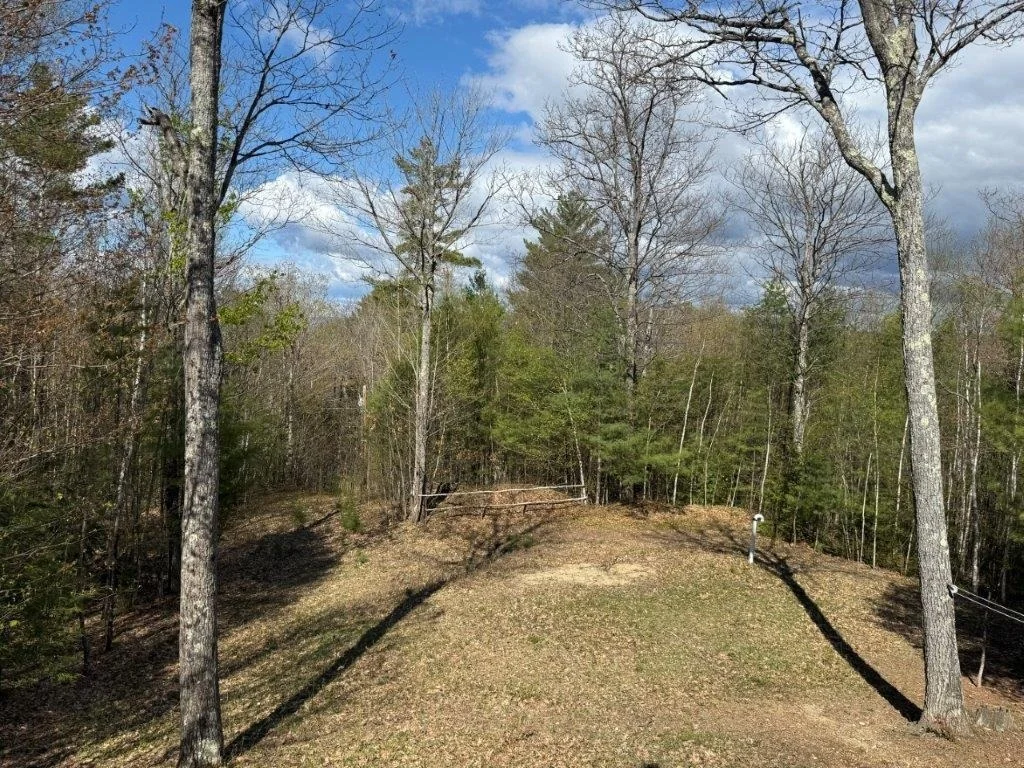 Photo of 77 Williams