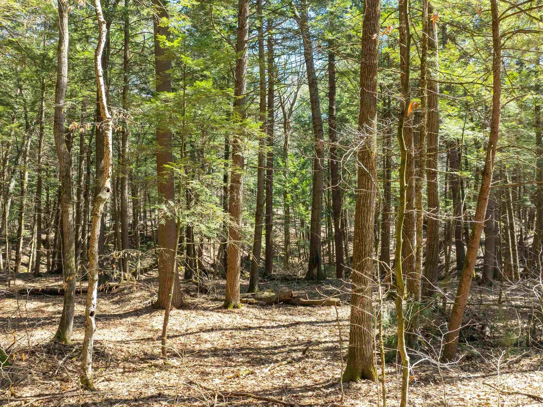 Photo of 00 Morrill Bend