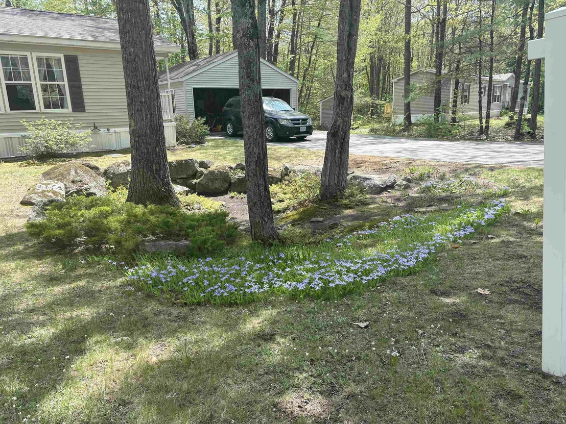 Photo of 9 Kenyann