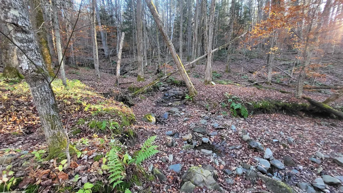 Photo of 535 Collar Hill
