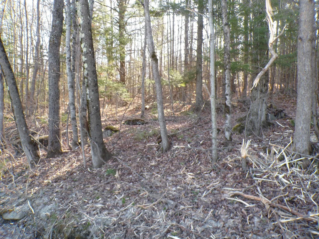 Photo of 440 Baird