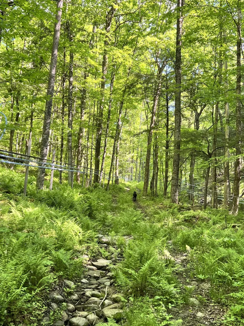 Photo of 00 Town Hill