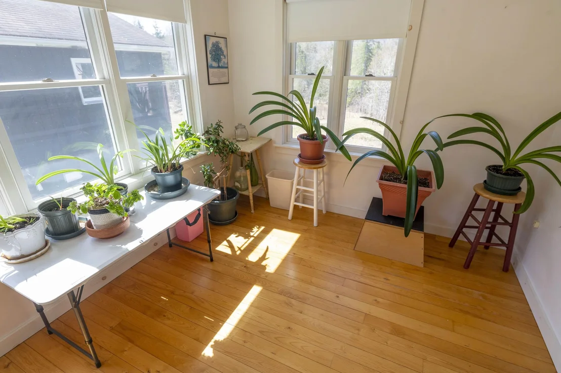 Photo of 246 Gray