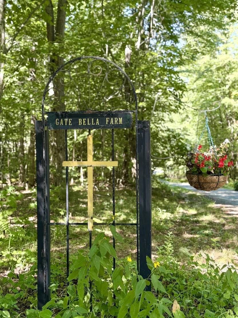Photo of 381 Toad Hill